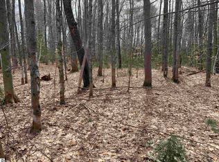 8222 Bass Ave NE Lot 7, Kalkaska, MI 49646
