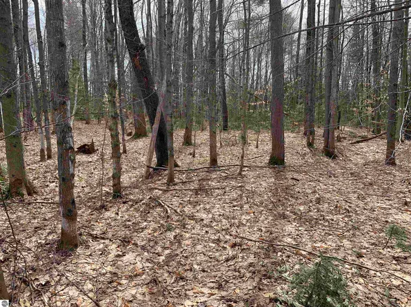8222 Bass Ave NE Lot 7, Kalkaska, MI 49646