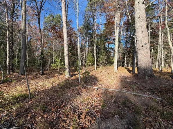 Madeline Ln, Eagle River, WI 54521