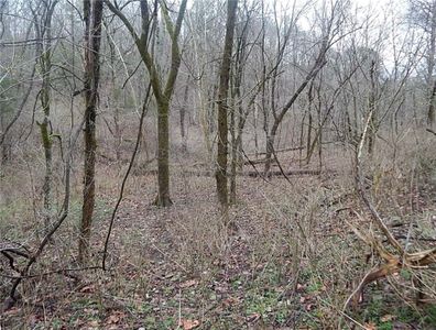 County Road 317, Eureka Springs, AR, 72632