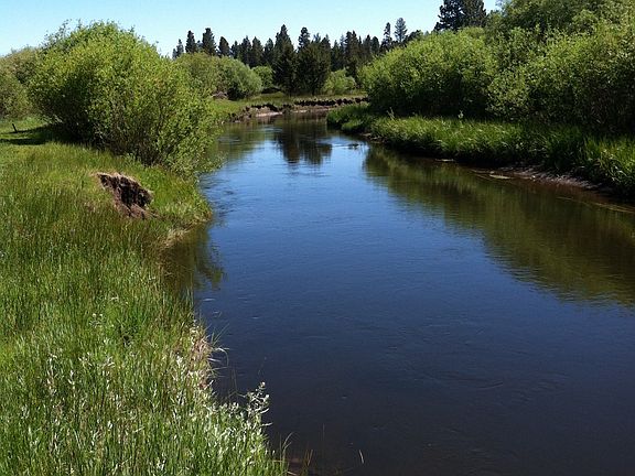 5th image of 55354 Lazy River Dr