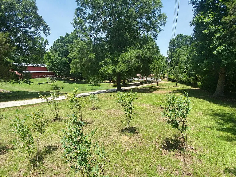 Sharon Rd — Photo 29