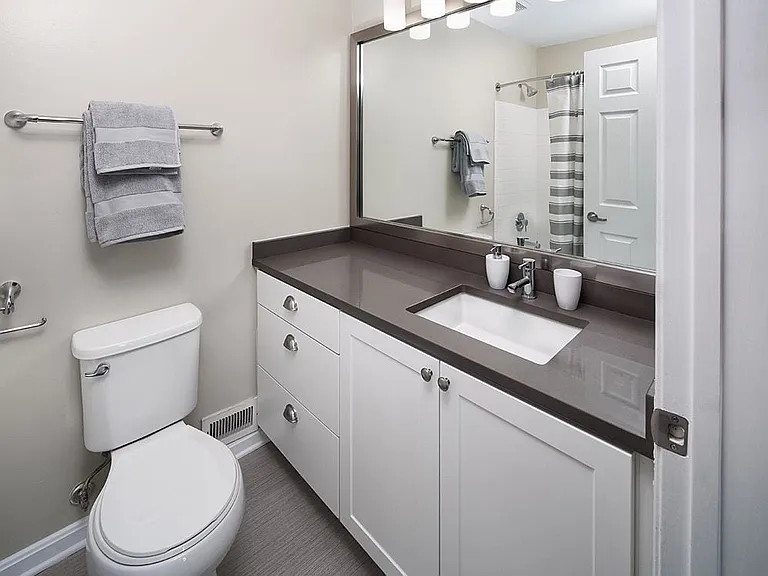 Bath with Quartz Countertops