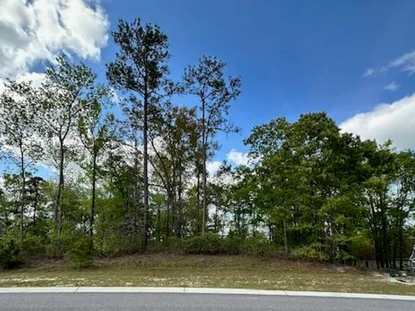 9681 Sweet Apple Lane NE, Leland, NC 28451