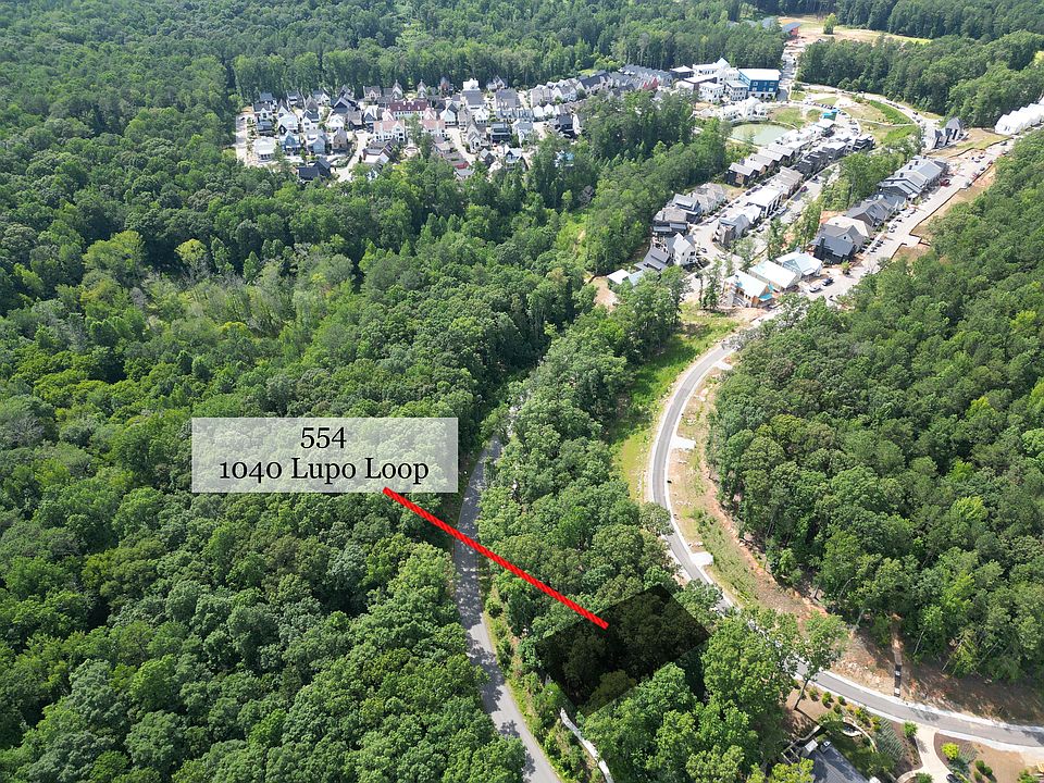 2nd image of 1040 Lupo Loop #554