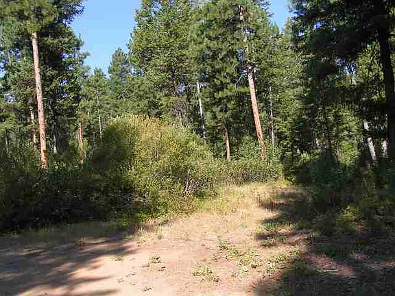 3rd image of 0 Tract 43 Ros #98281