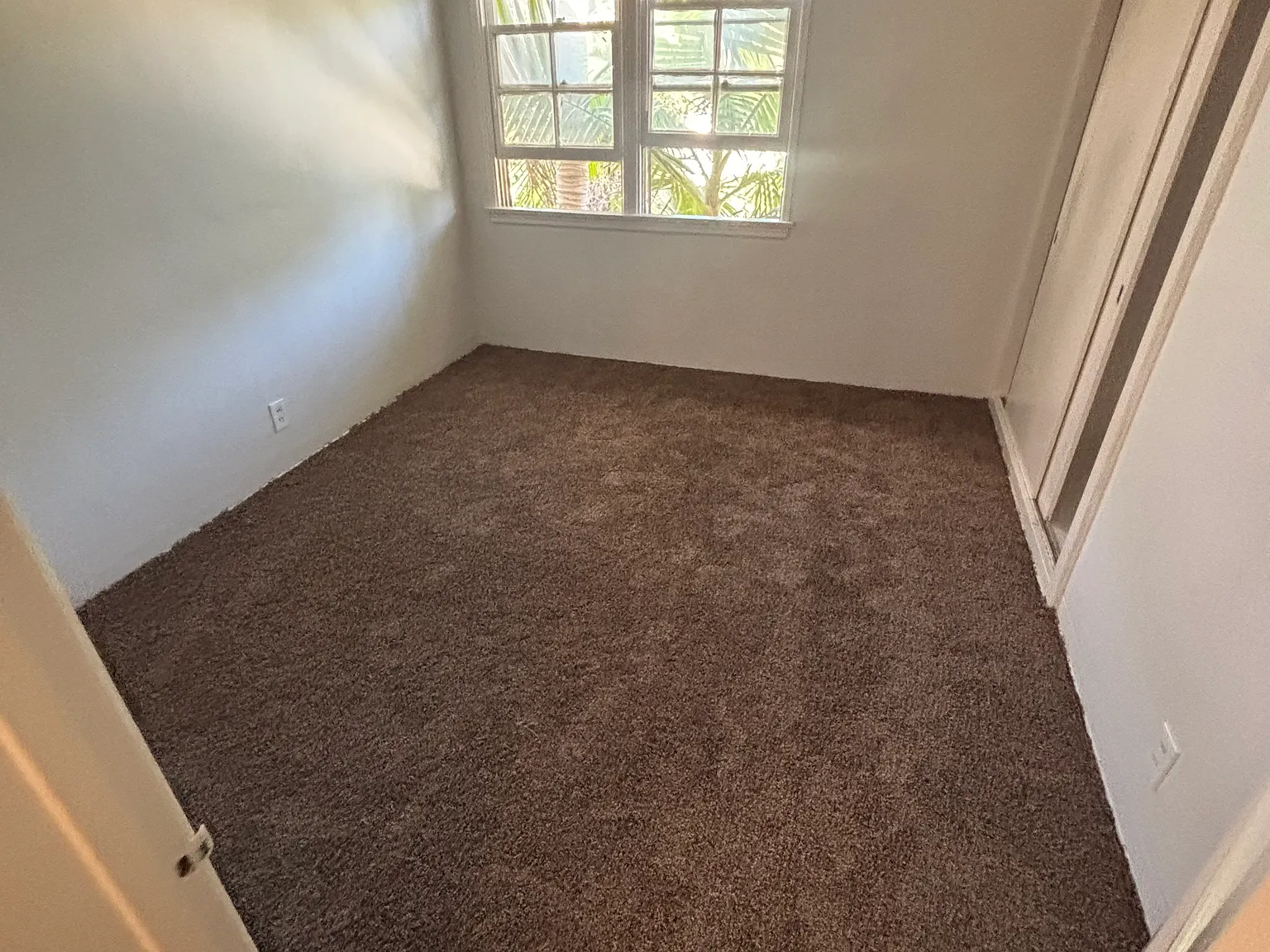 1 bed, $1,900 — Photo 4
