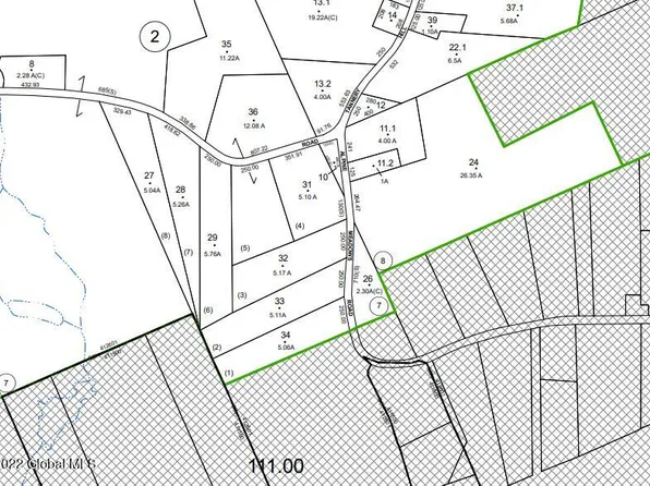 170 Alpine Meadows Road, Porter Corners, NY 12859