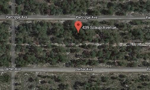 1st image of 439 Scaup Ave