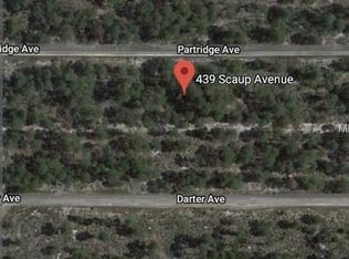 439 Scaup Ave, Sebring, FL 33870
