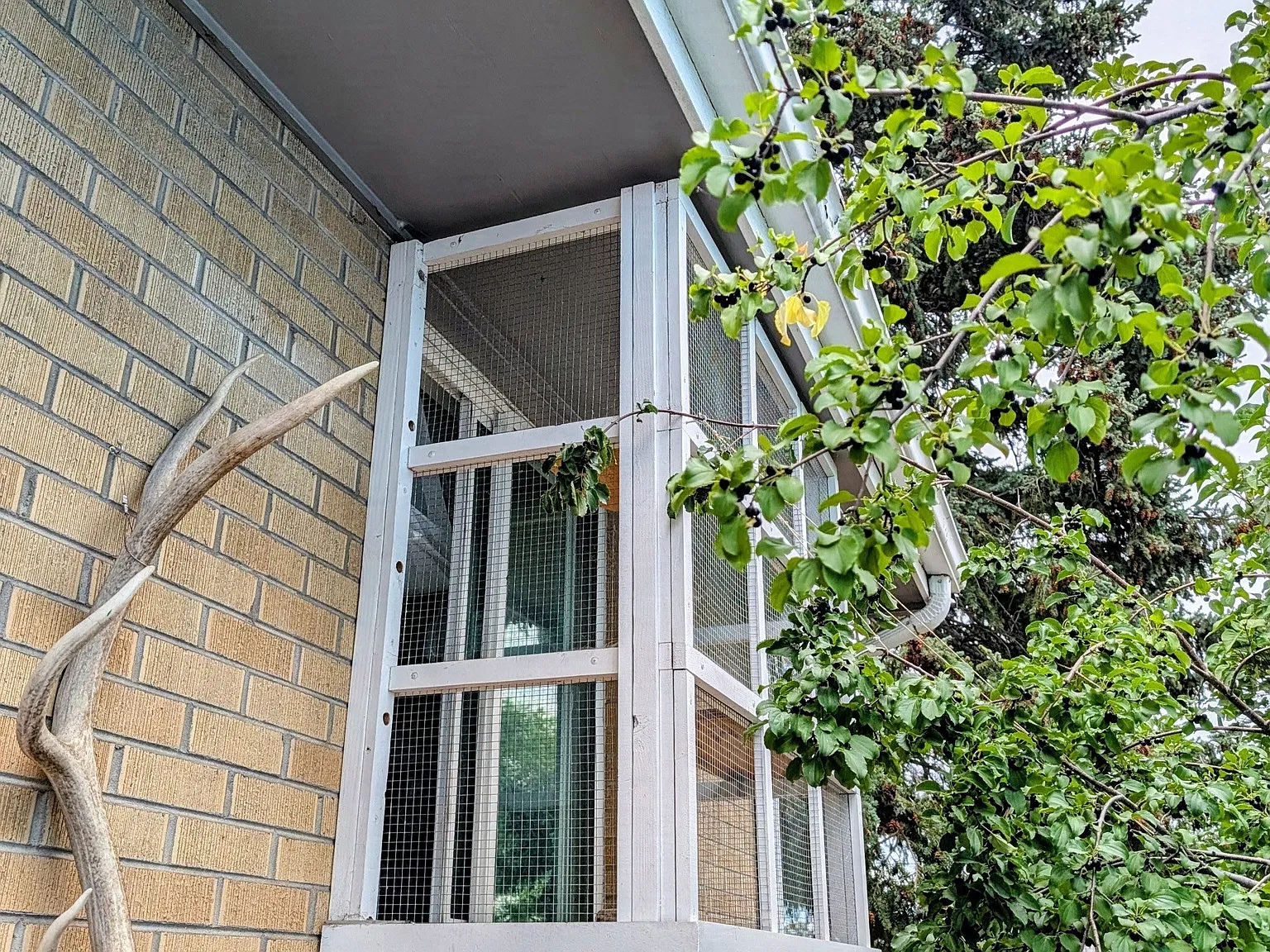 4 bed, 1628 sqft, $3,100 — Photo 4