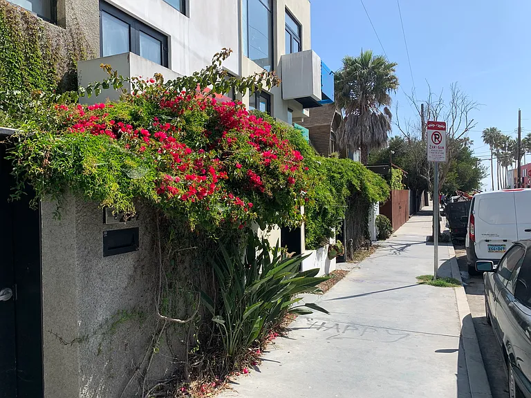 26 Horizon Ave — Photo 38