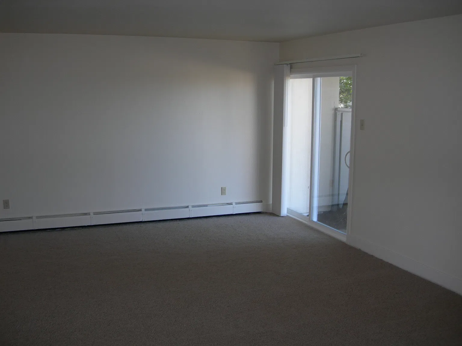 3 bed, 1.5 bath, 1300 sqft, $7,400 — Photo 3