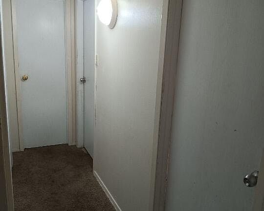 5th image of 215 Lodge Dr