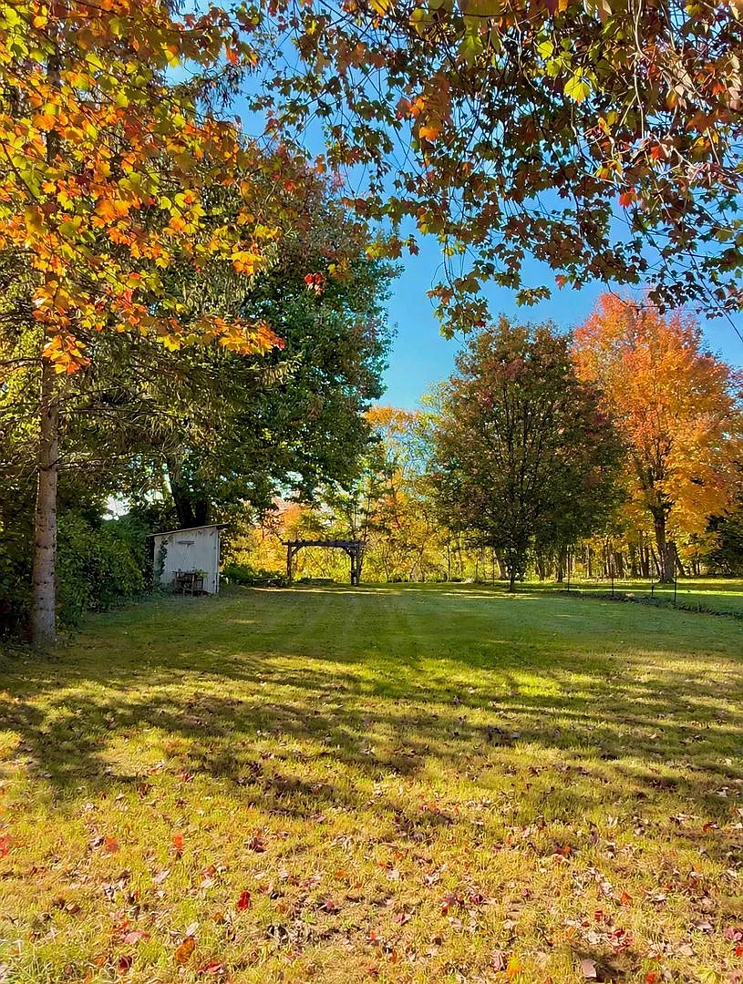 Four-Bedroom Cape with Fireplace & Expansive Backyard — Photo 3