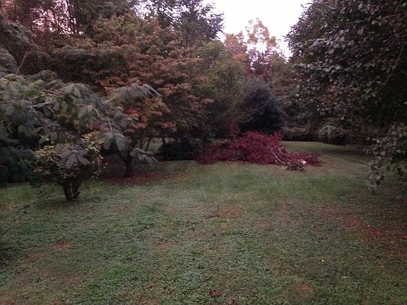 View from Back Deck.  .6 acr