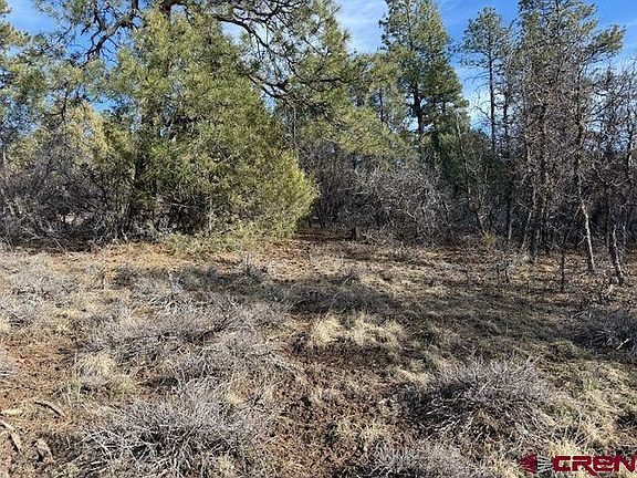 4th image of 495 Justin's Drive