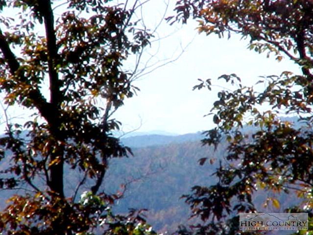 1st image of 13681 Highway 16