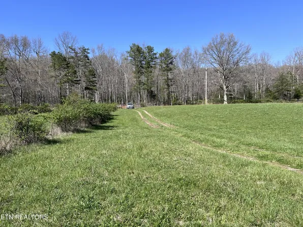 0 Coon Hollow Rd, Sunbright, TN 37872