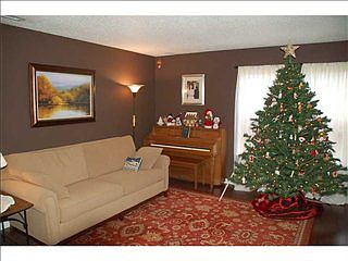 3rd image of 3203 Carica Dr