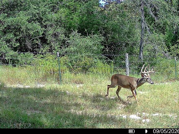 4th image of Jackrabbit Ln