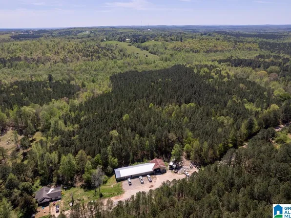 0 County Road 204 #1, Heflin, AL 36264