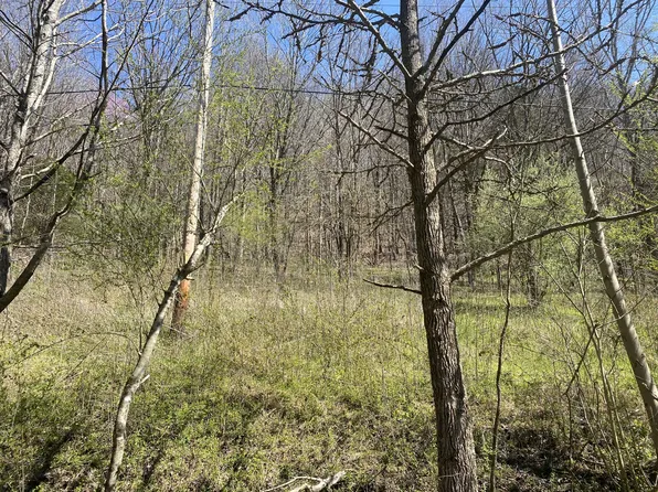 0 Acorn Ln Lot 9 & 10, Gainesboro, TN 38562