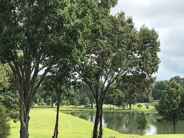 1st image of 1 Cypress Lake Cv #1