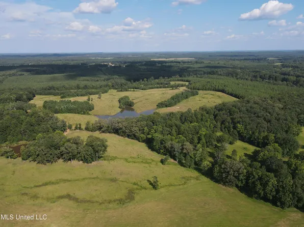 County Road 233, Water Valley, MS 38965