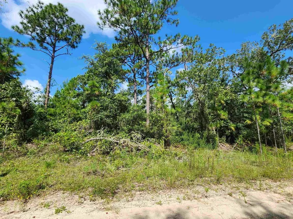 137 Marion St, Florahome, FL 32140