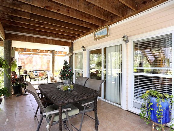 Seahorse (1) - 5 of 44