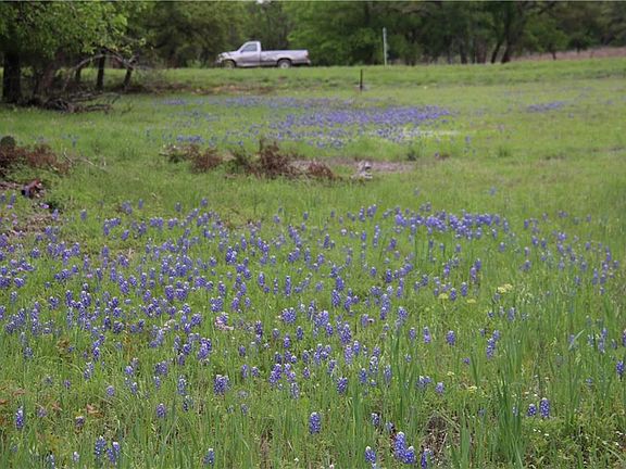4th image of 3312 Whitt Creek Trl