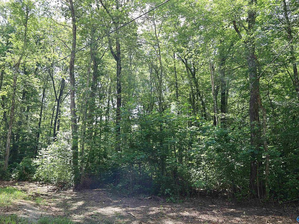 1st image of Libby Ln