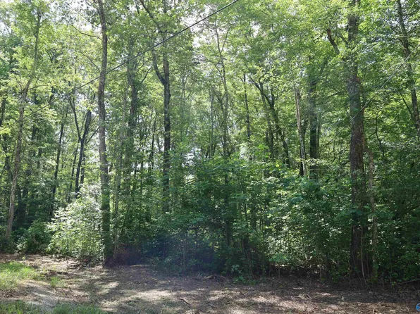 Libby Ln, Mentone, AL 35984