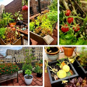 854 W 181st St APT 3H, Manhattan, NY, 10033