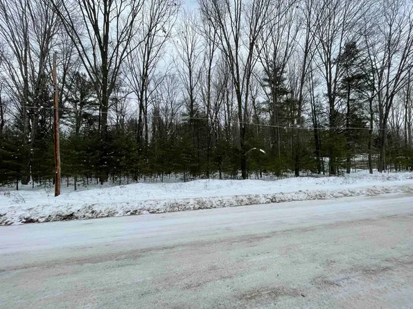 LOT 738 N Forest Lake Dr, Alger, MI 48610