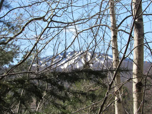 0 Stratton View Road #62-63, Winhall, VT 05340