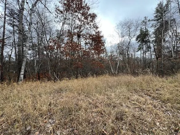 Xxx Dewdrop Cir, Breezy Pt, MN 56472