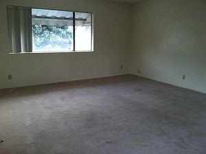 1st image of 121 N Bushnell Ave #D
