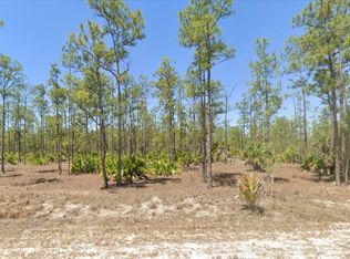113 Scott Ave, Lehigh Acres, FL 33936