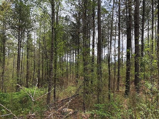 1st image of 853 Bartow St Lot 0