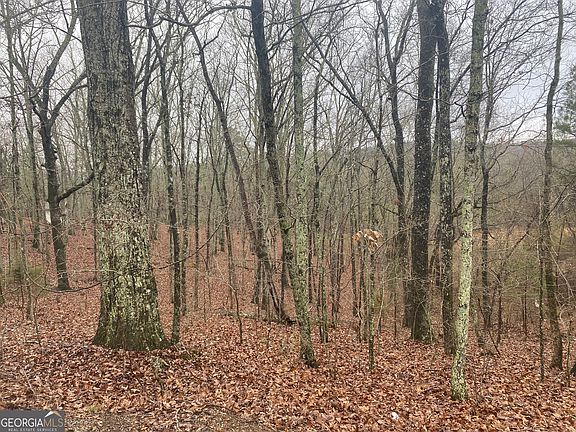 2nd image of 0 John Ingram Rd SE