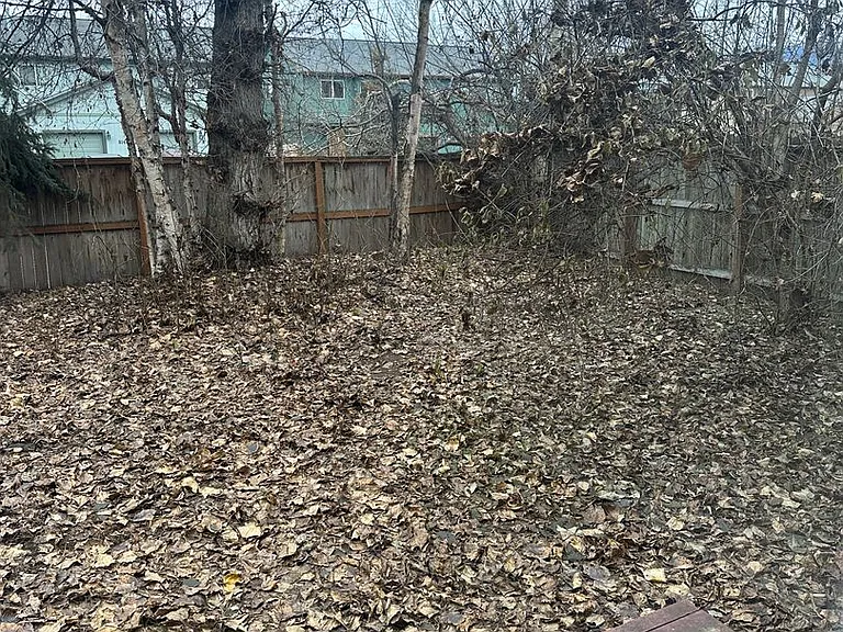 4018 Sycamore Loop — Photo 18