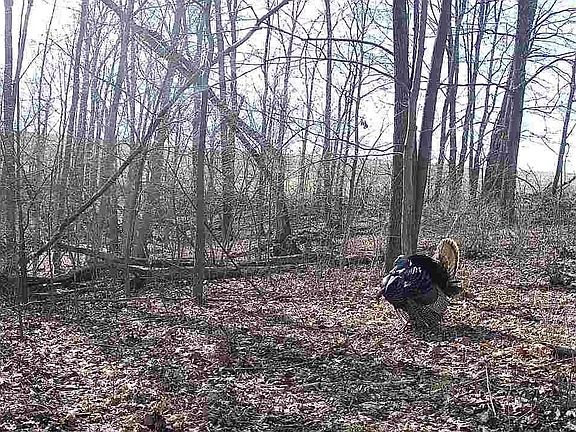 5th image of County Rd E