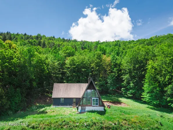 670 Hog Mountain Road, Margaretville, NY 12455