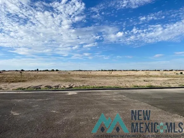 5110 N Camelot Dr, Hobbs, NM 88242