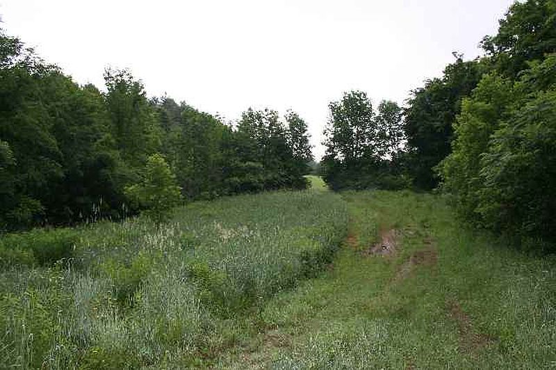 2nd image of 0 MCNEIL Road