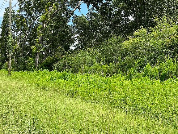 2nd image of 3821 Highway 99 #A