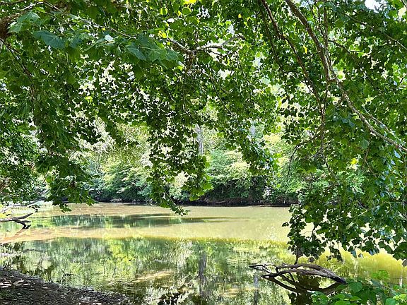 3rd image of LOT 34 County Road 336
