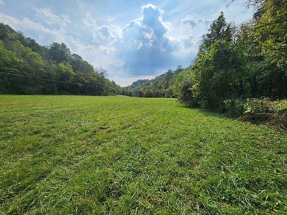 4th image of 0 Webster Branch Ln Lot 5